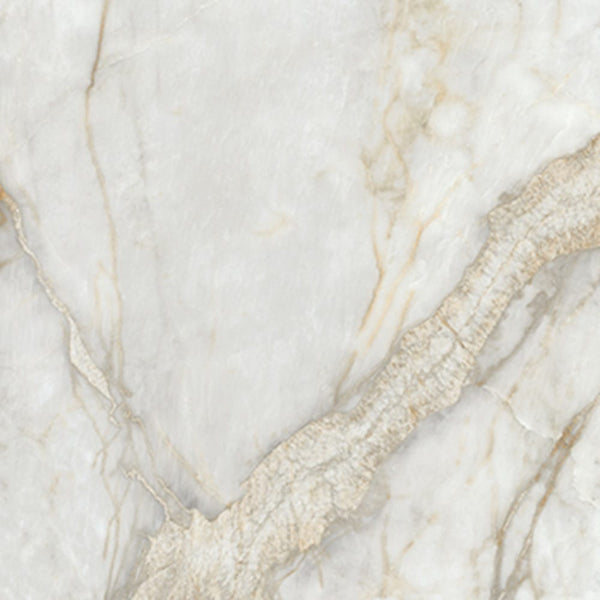 EV Tile GP-MN-NAT6060N Marine Nature  600x600