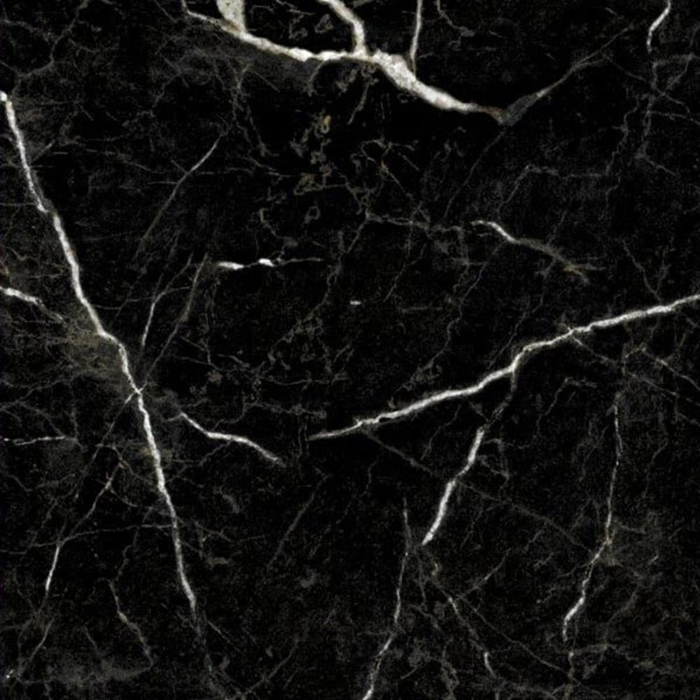 EV Tile GP-EM-NRM6060H Euromarmo Nero Marquina 600x600 Honed Glazed