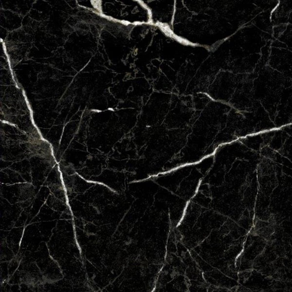 EV Tile GP-EM-NRM6060H Euromarmo Nero Marquina 600x600 Honed Glazed