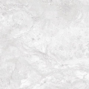 EV Tile GP-RS-ARG6060M Romestone Argento 600x600x10 Matt