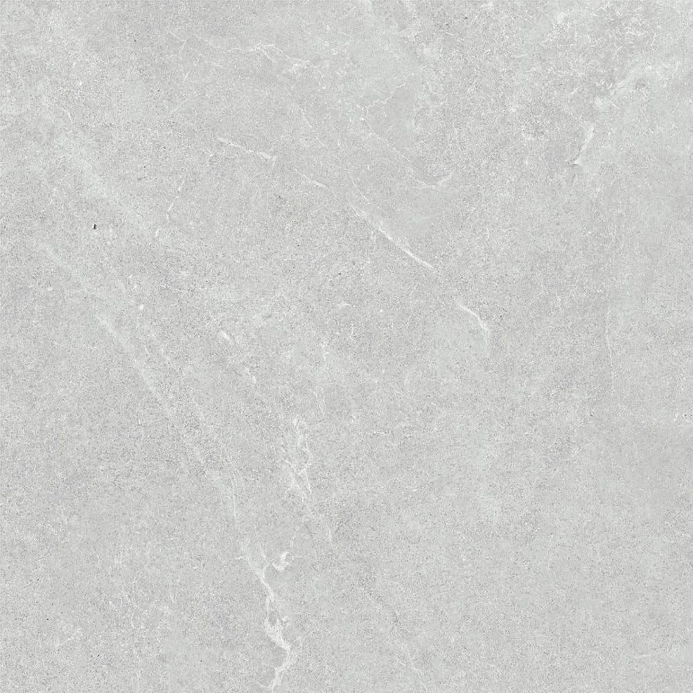DSS Tile GRI0022	VENUS LIGHT GREY MATT 600X600MM 60LH01R