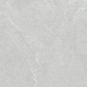 DSS Tile GRI0022	VENUS LIGHT GREY MATT 600X600MM 60LH01R