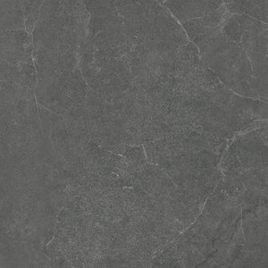 DSS Tile GRI0028	VENUS DARK GREY MATT 600X600MM 60LH09R