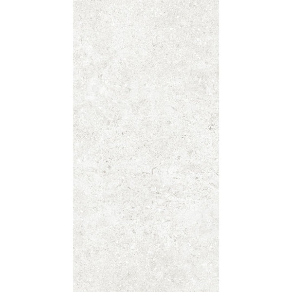 GRI0030 MILANO WHITE MATT 300X600MM 36MN01R