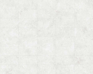 GRI0030 MILANO WHITE MATT 300X600MM 36MN01R