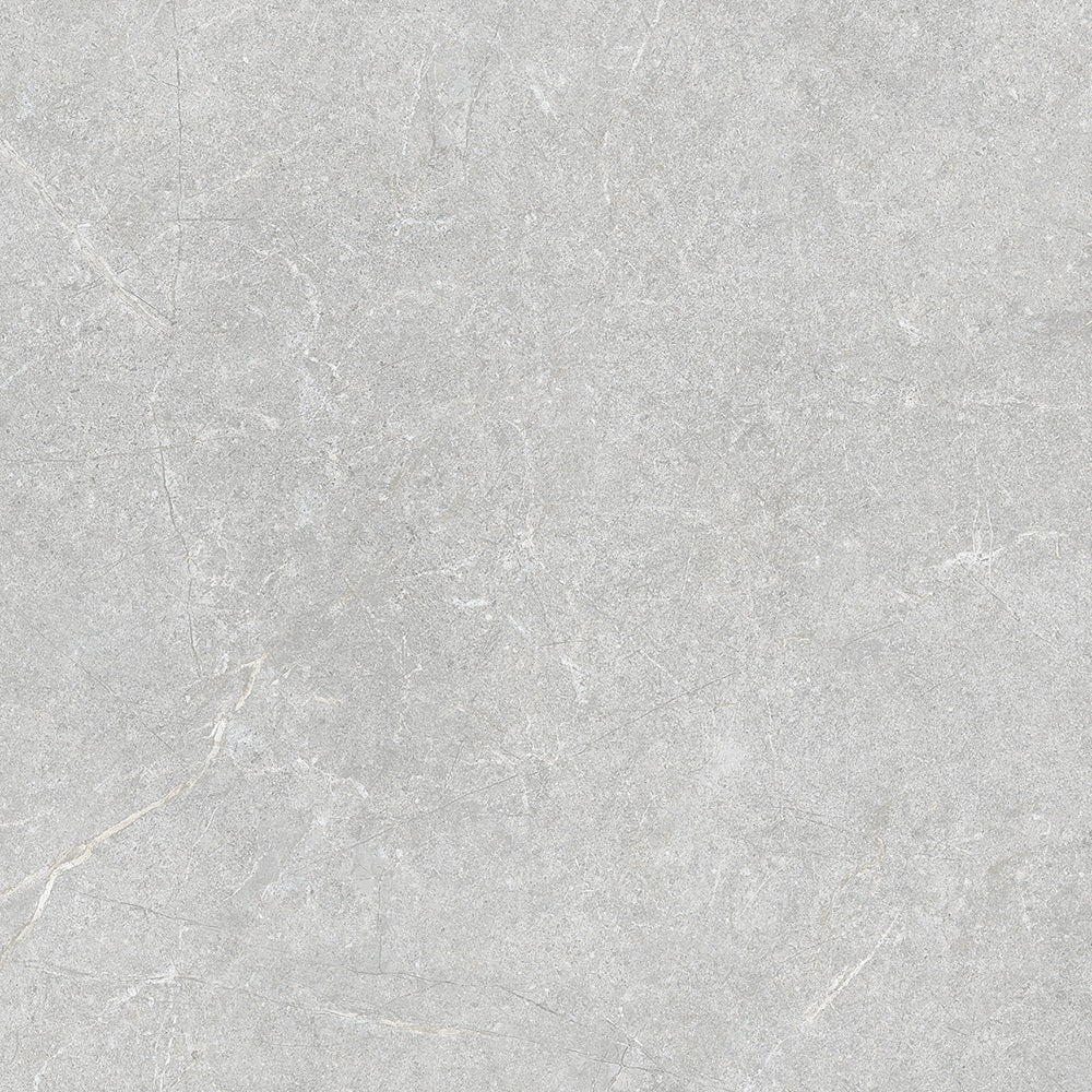 STI-F61024-09 PETRA GREY MATT 600X600