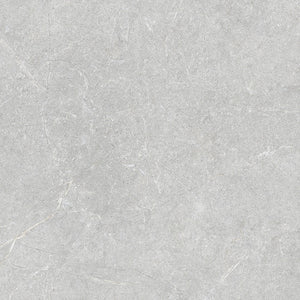 STI-F61024-09 PETRA GREY MATT 600X600