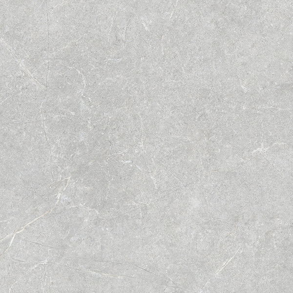 STI-F61024-09 PETRA GREY MATT 600X600