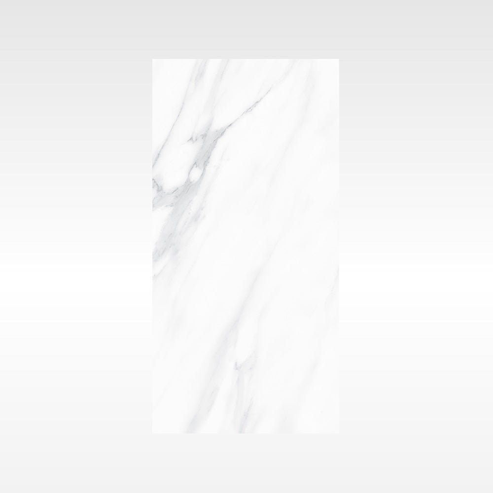 SnowWhite Grey 300x600 Polish