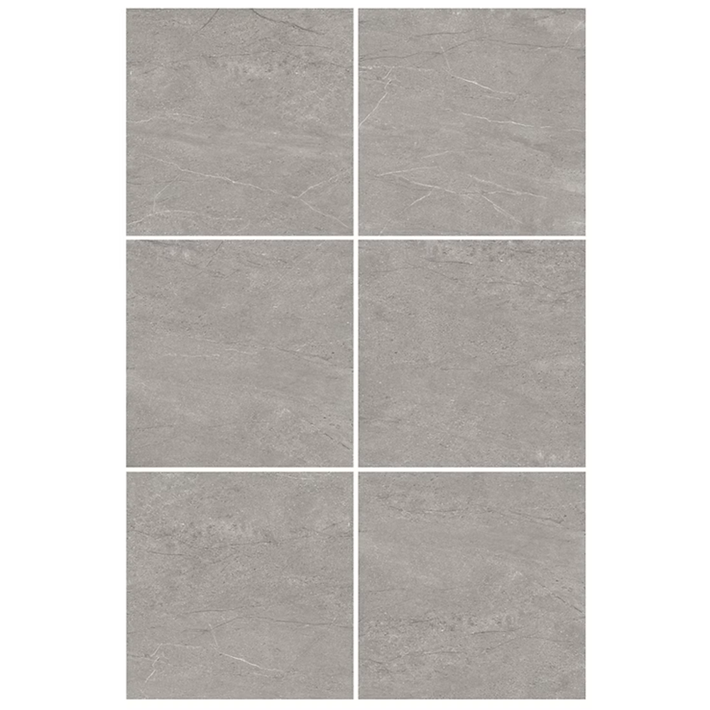 Astra Grey 450x450 mm