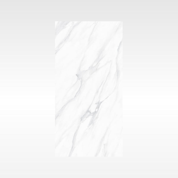 SnowWhite Grey 600x1200 Soft Matt