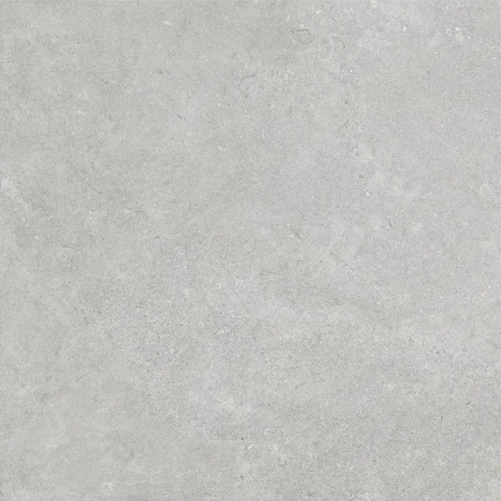 ET Tile FOSGRE6060M	FOSILIME GREY MATT 600X600