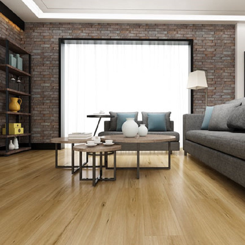 Floortex 12mm Semi Gloss HD Laminate Floor - HD702 Coastal Blackbutt