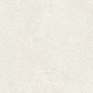 STI-F61021W-09 PETRA IVORY MATT 600X600