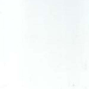 LAUGWH 22AW1 (OK011) LAURIETON GLOSS WHITE 200X200