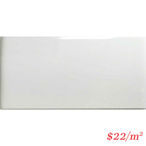 LEO0019 SUBWAY GLOSS WHITE 100X200MM