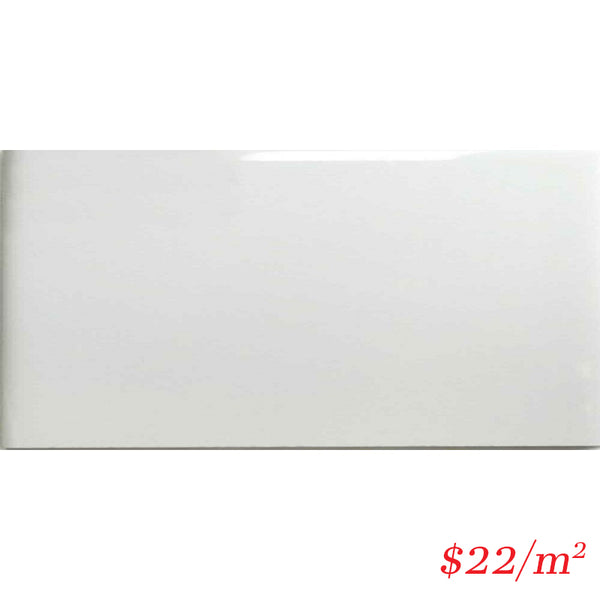 LEO0019 SUBWAY GLOSS WHITE 100X200MM
