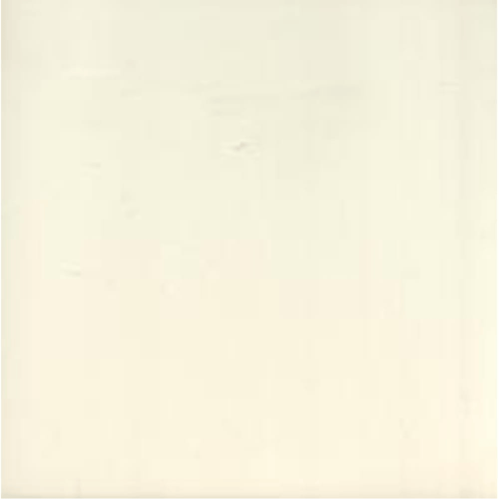 GNS Tile Laurieton Gloss Ivory Ceramic Tiles 200x200mm
