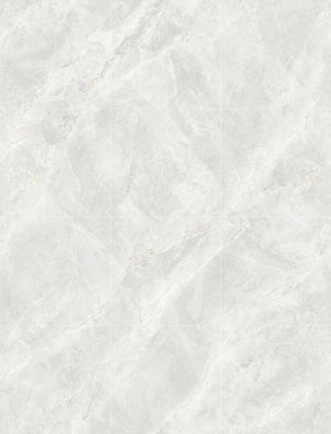 Caesarstone Light 600x600 In&Out Solution