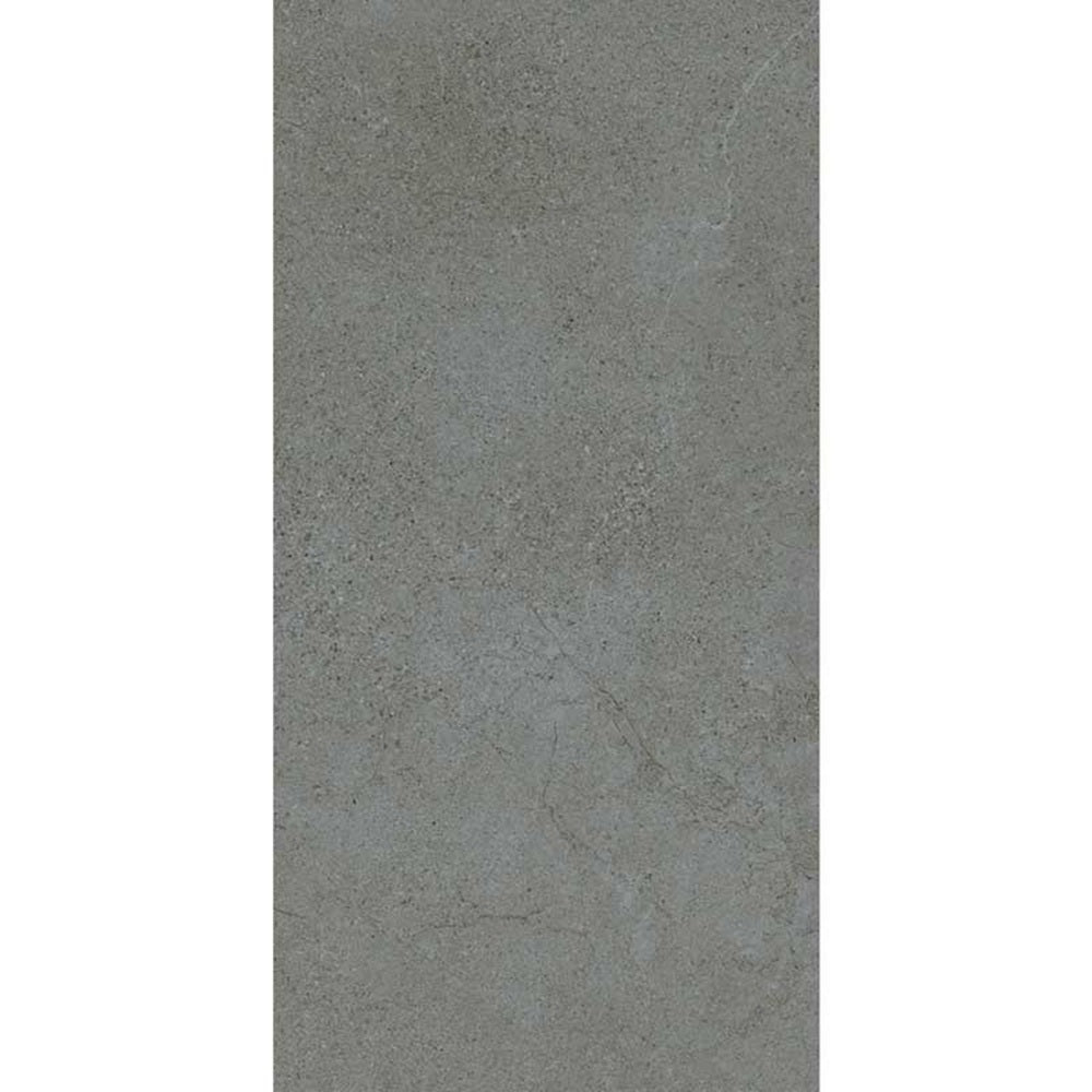 MAC0049 ASPEN CHARCOAL EXTERNAL RECTIFIED R11 300X600MM AS04R