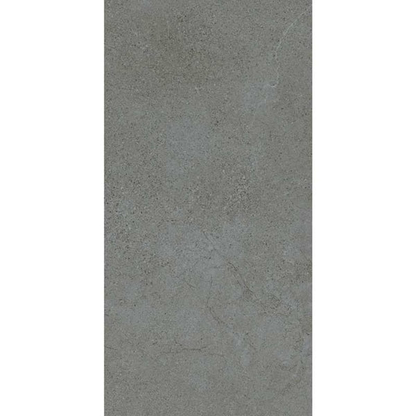 DSS Tile MAC0049 ASPEN CHARCOAL EXTERNAL RECTIFIED R11 300X600MM AS04R