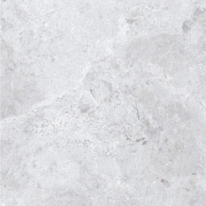 DSS Tile MEN0001 ARCTIC TUNDRA GREY POLISH 600X600MM 6S75806