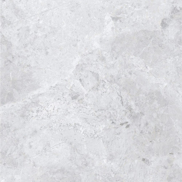 DSS Tile MEN0001 ARCTIC TUNDRA GREY POLISH 600X600MM 6S75806