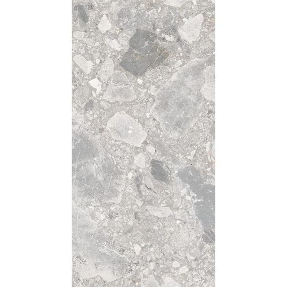 DSS Tile MG0008	VERONA SILVER TERRAZZO MATT RECTIFIED 300X600MM TZ6302