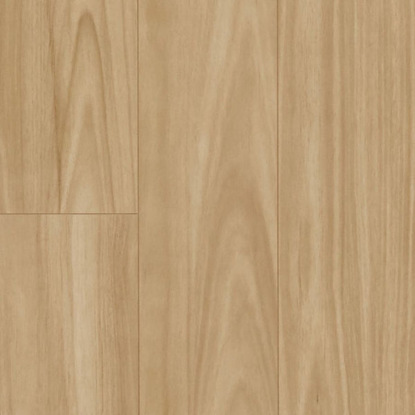 MTF Water resistant Laminate Flooring 1216x190x12mm - Blackbutt