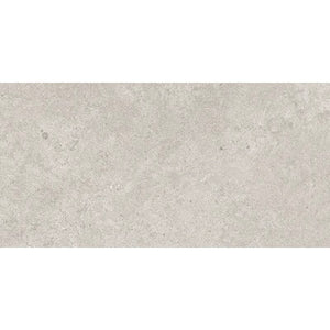 VL Tile Entiva Nordika Silver Matt Concrete Look Tile 300x600mm