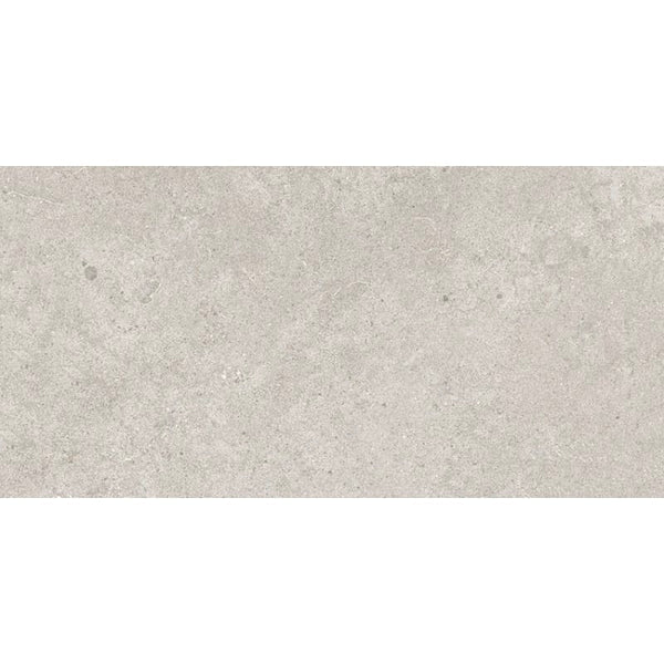 VL Tile Entiva Nordika Silver Matt Concrete Look Tile 300x600mm