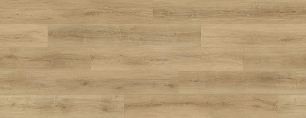 Floortex Pinaco NextGen Laminate floor - NP5504 Toaste