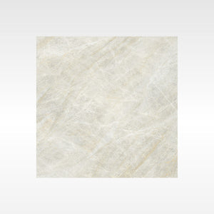 Taj Mahal Natural 600x600 Matt