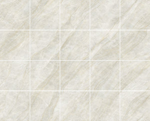 Taj Mahal Natural 600x600 Matt