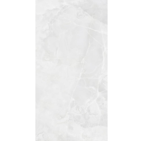 EV Tile GP-ONY-ICE12060P Onyx Ice 1200x600 Polished