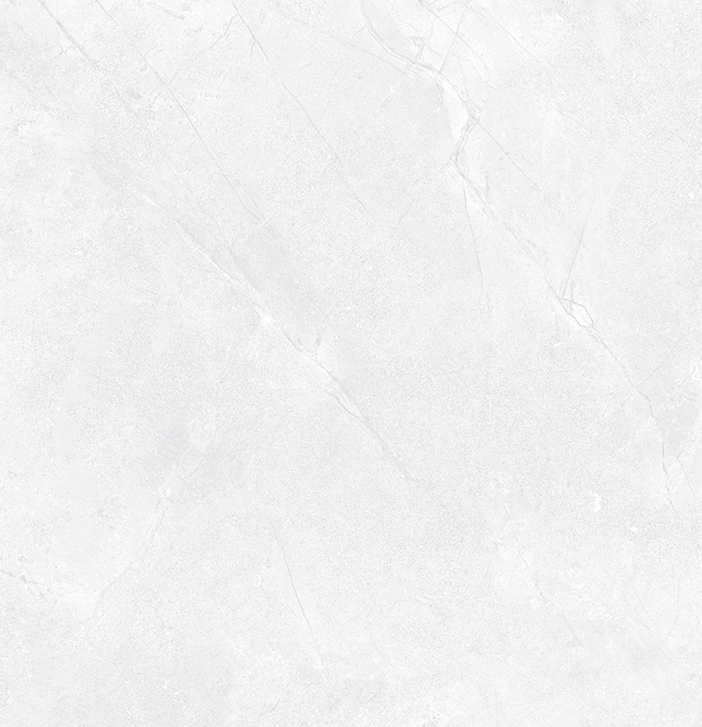 VT Tile Orbat White Matt Tile P4 600x600mm