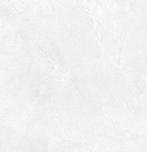 VT Tile Orbat White Matt Tile P4 600x600mm