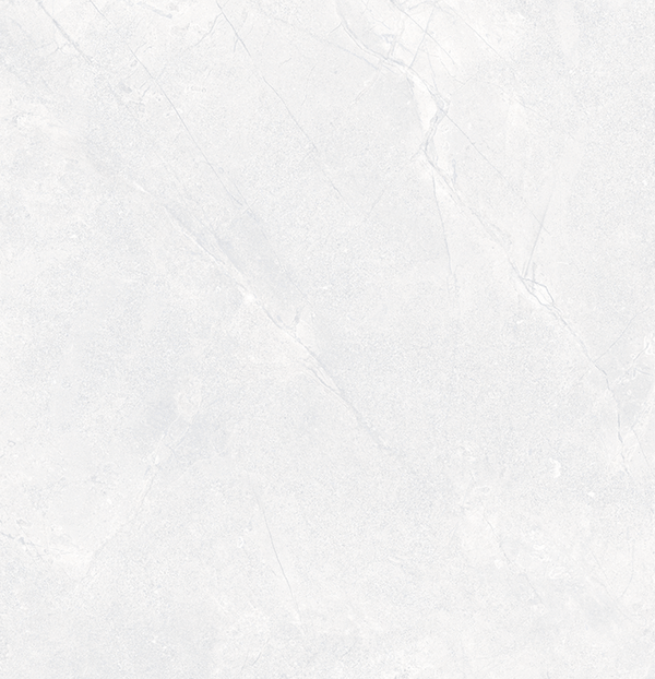 VT Tile Orbat White Matt Tile P4 600x600mm