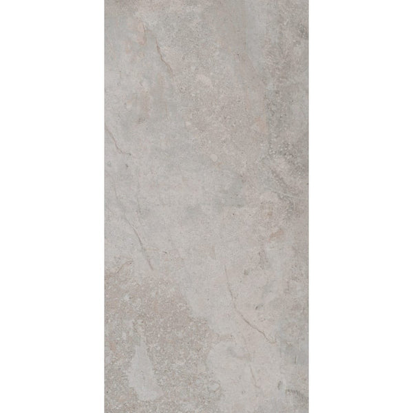 DSS Tile PAM0038 ESSENTIAL ES ERDING ASH MATT RECTIFIED 600X1200MM