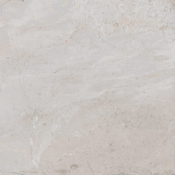 DSS Tile PAM0041 ESSENTIAL ES ERDING SILVER MATT RECTIFIED 600X600MM