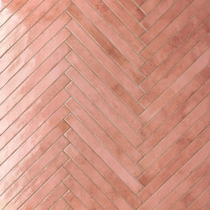 DSS Tile RON0004 COLORS SUBWAY SALMON GLOSS 48X450MM J92080