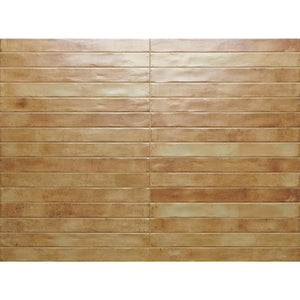 DSS Tile RON0013 GRAFFITI SUBWAY BEIGE SATIN 48X450MM J92631