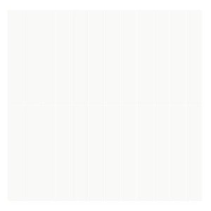 STIGEN-CAP50300 CAPRI WHITE GLOSS 50X300