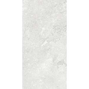 ET Tile PORSTOSIL3060M PORTLAND STONE SILVER 30X60