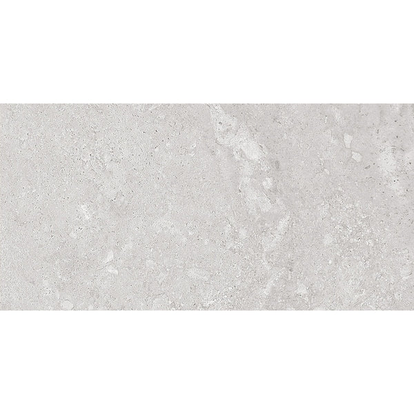 Tuscany Silver Honed 300x600mm