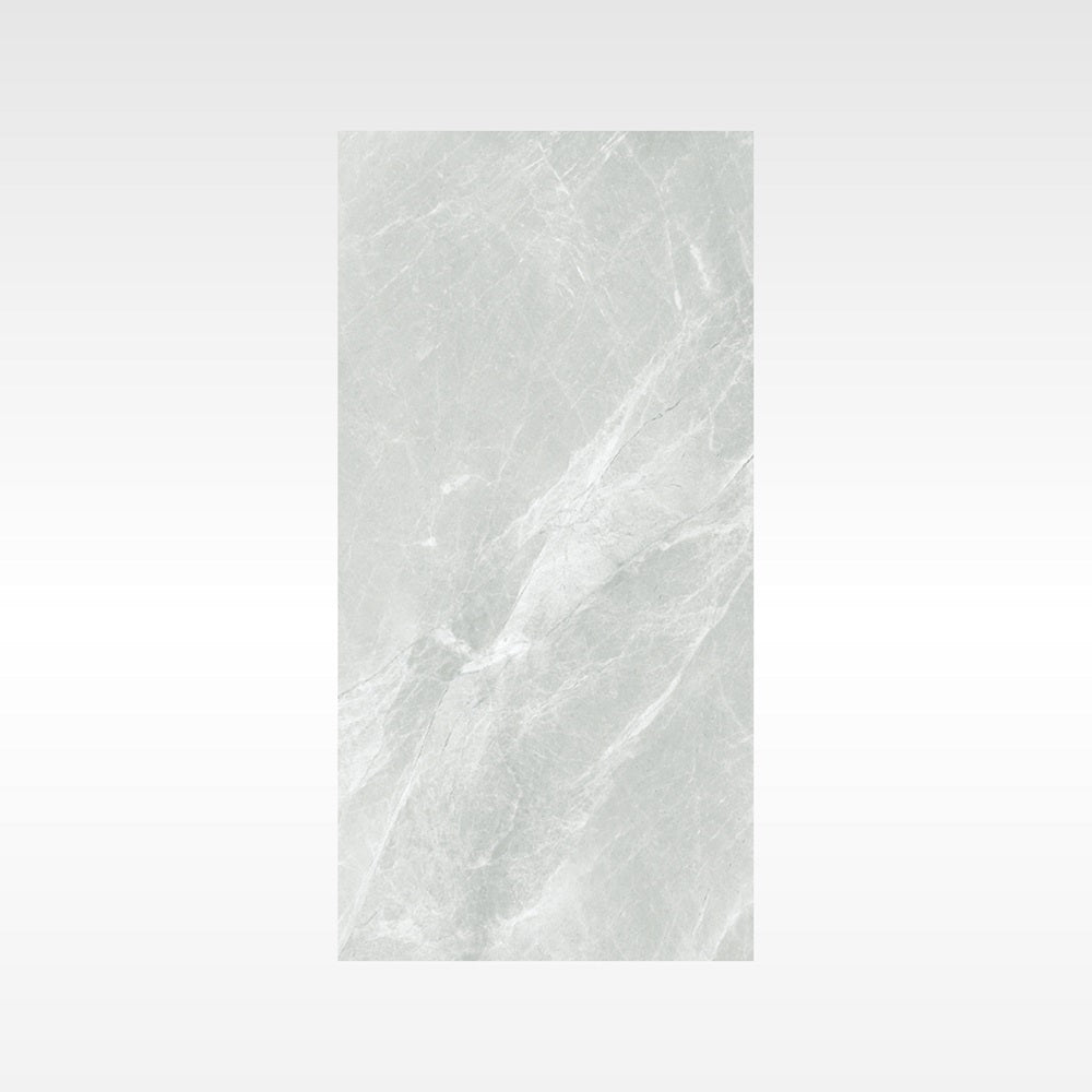 Fg Silver 300x600 Matt