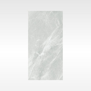 Fg Silver 300x600 Matt