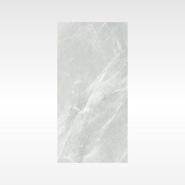 Fg Silver 300x600 Matt