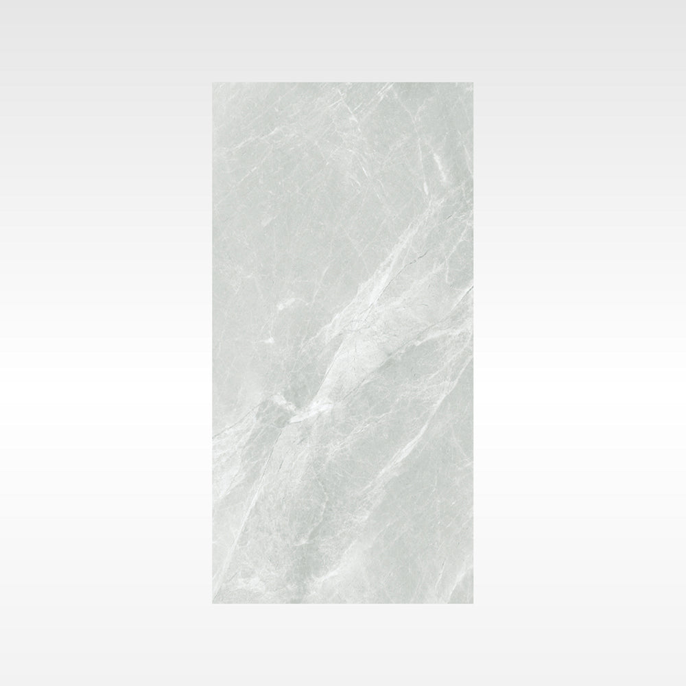 Fg Silver 300x600 Polish