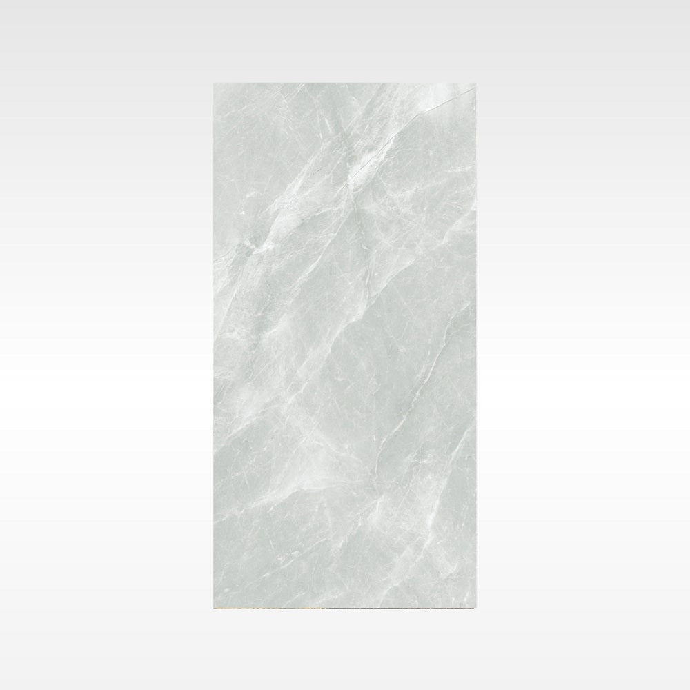 Fg Silver 600x1200 Matt